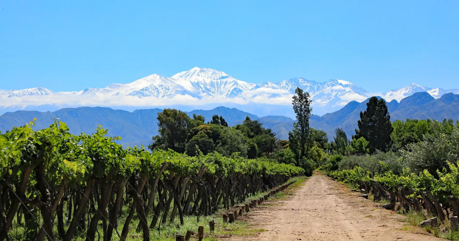 Mendoza Ruta del Vino 3 noches